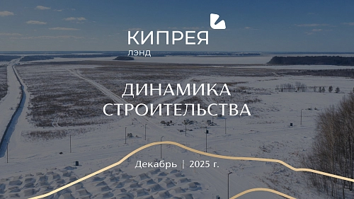 Динамика строительства в «Кипрея.Лэнд» 