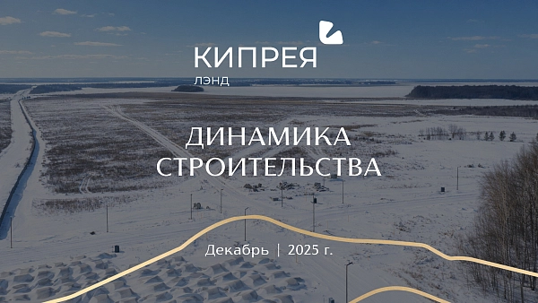 Динамика строительства в «Кипрея.Лэнд» 