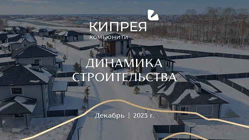 Декабрьский отчет в «Кипрея.Комьюнити» 