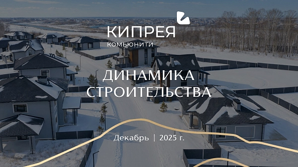 Декабрьский отчет в «Кипрея.Комьюнити» 